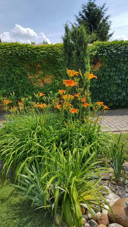 Gardenia Apartman 艾斯特根 外观 照片