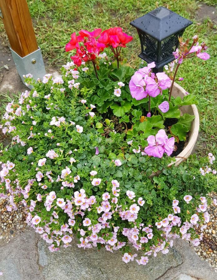 Gardenia Apartman 艾斯特根 外观 照片